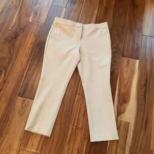 Ann Taylor Petite-Devin Fit pant Size 10P